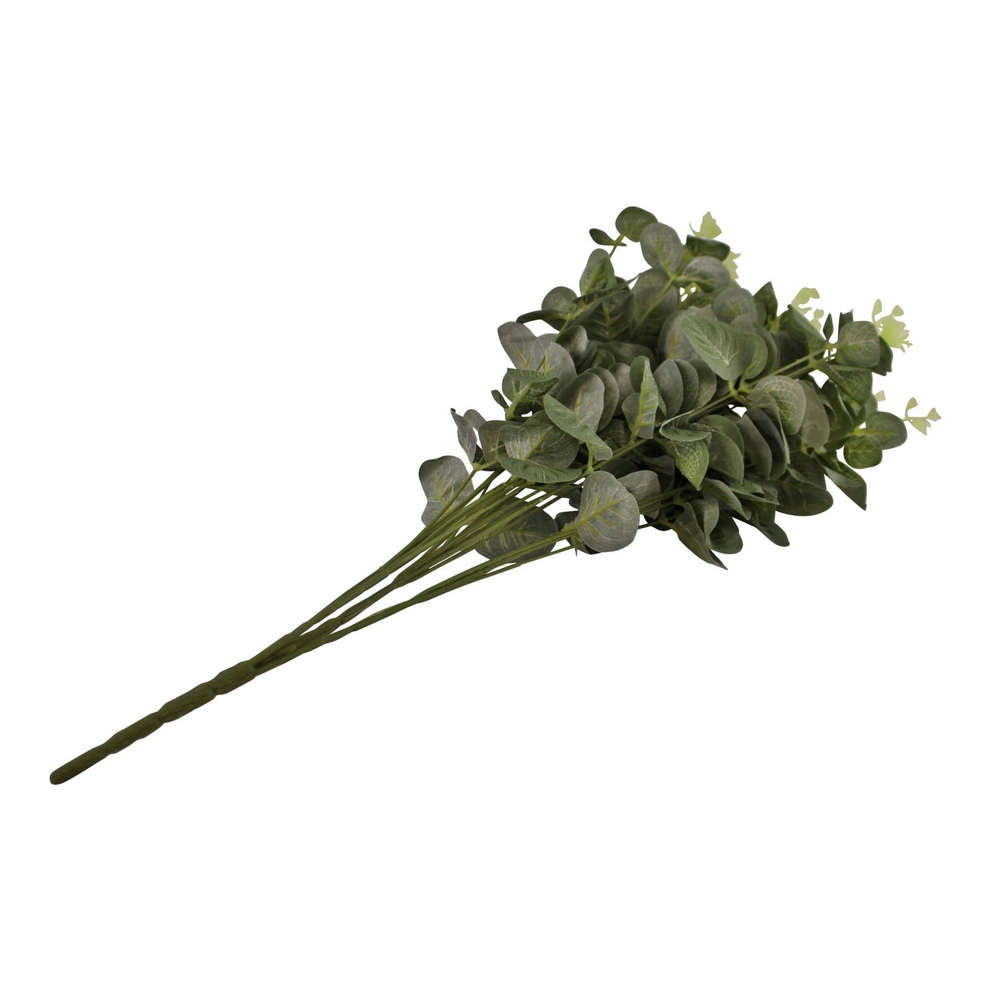 eucalyptus-leaf-spray-in-greenat Willow and Wine!