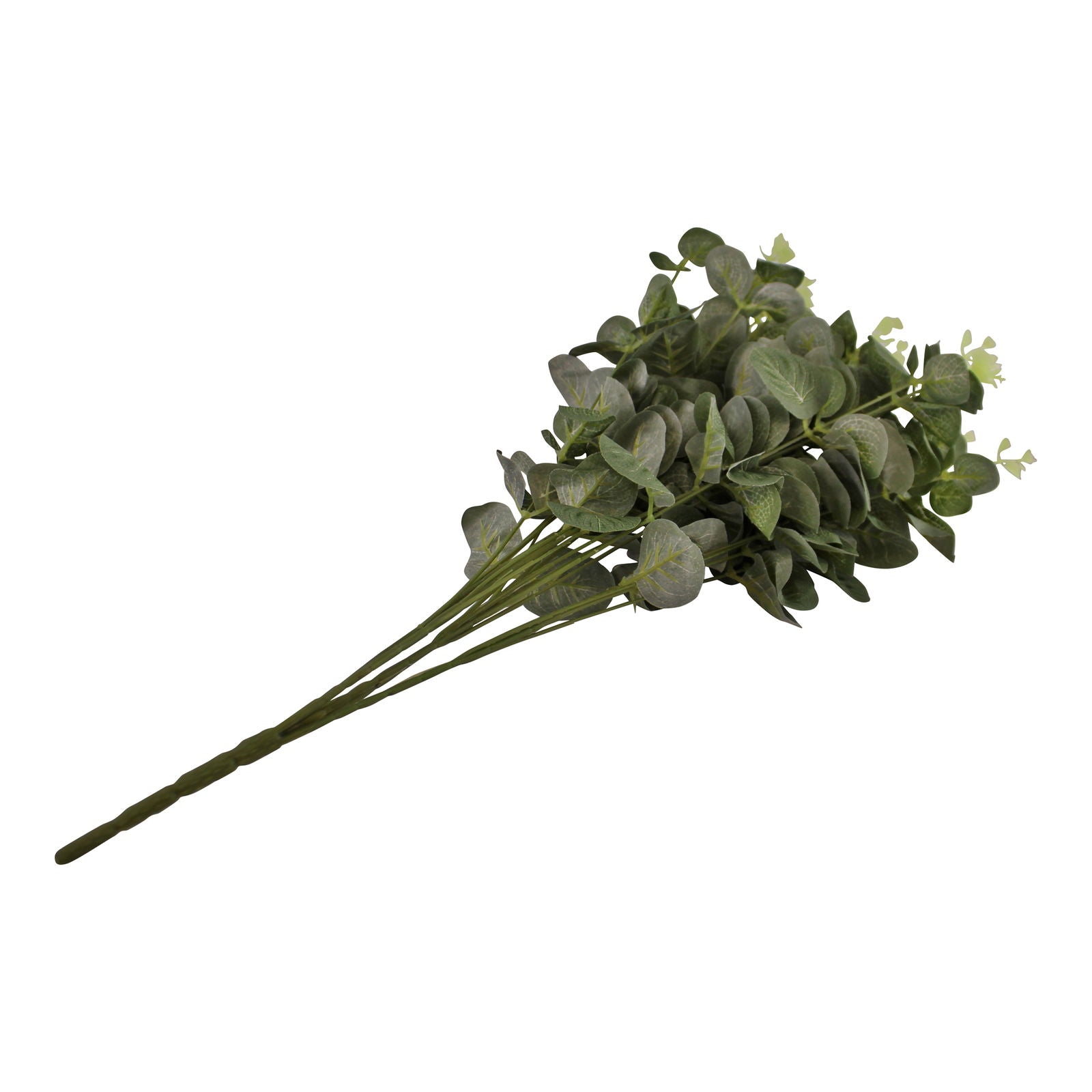 eucalyptus-leaf-spray-in-greenat Willow and Wine!