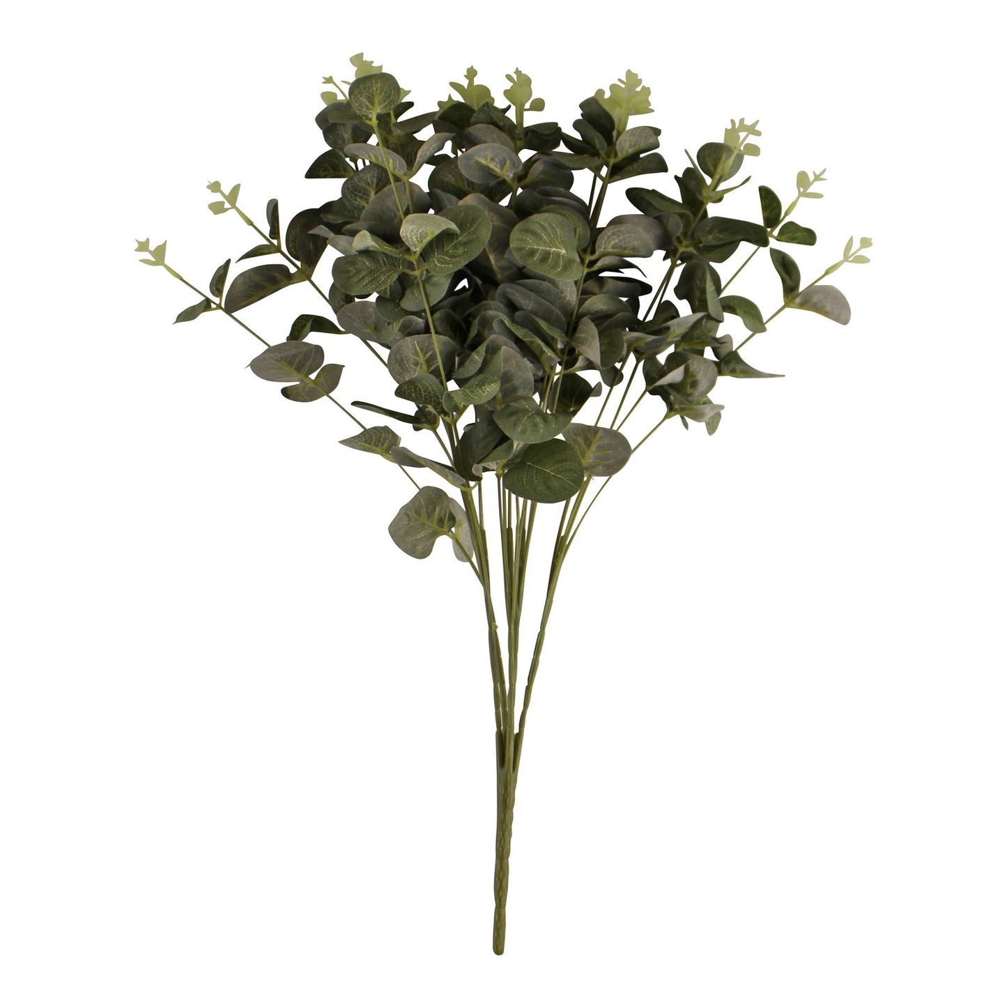 eucalyptus-leaf-spray-in-greenat Willow and Wine!