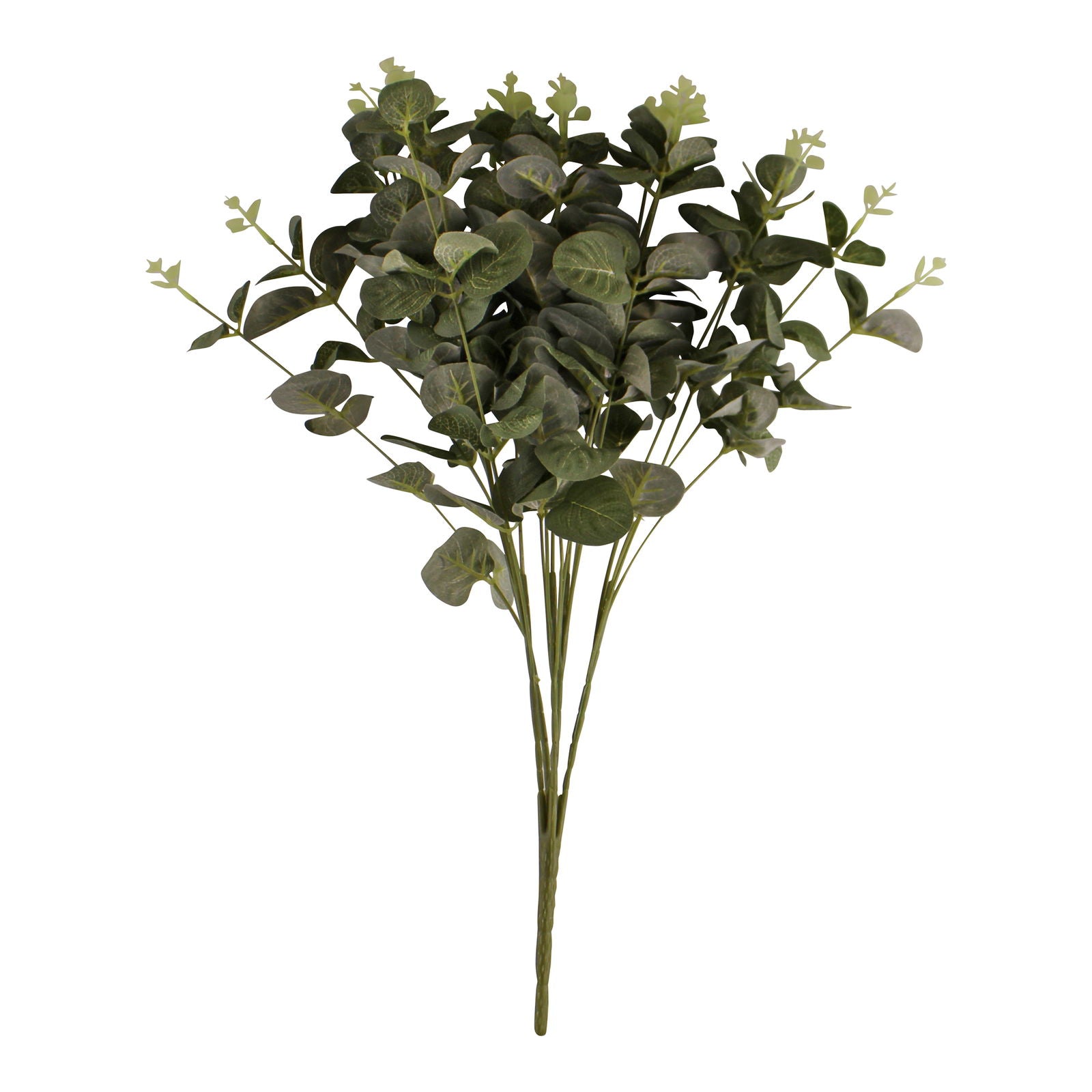 eucalyptus-leaf-spray-in-greenat Willow and Wine!
